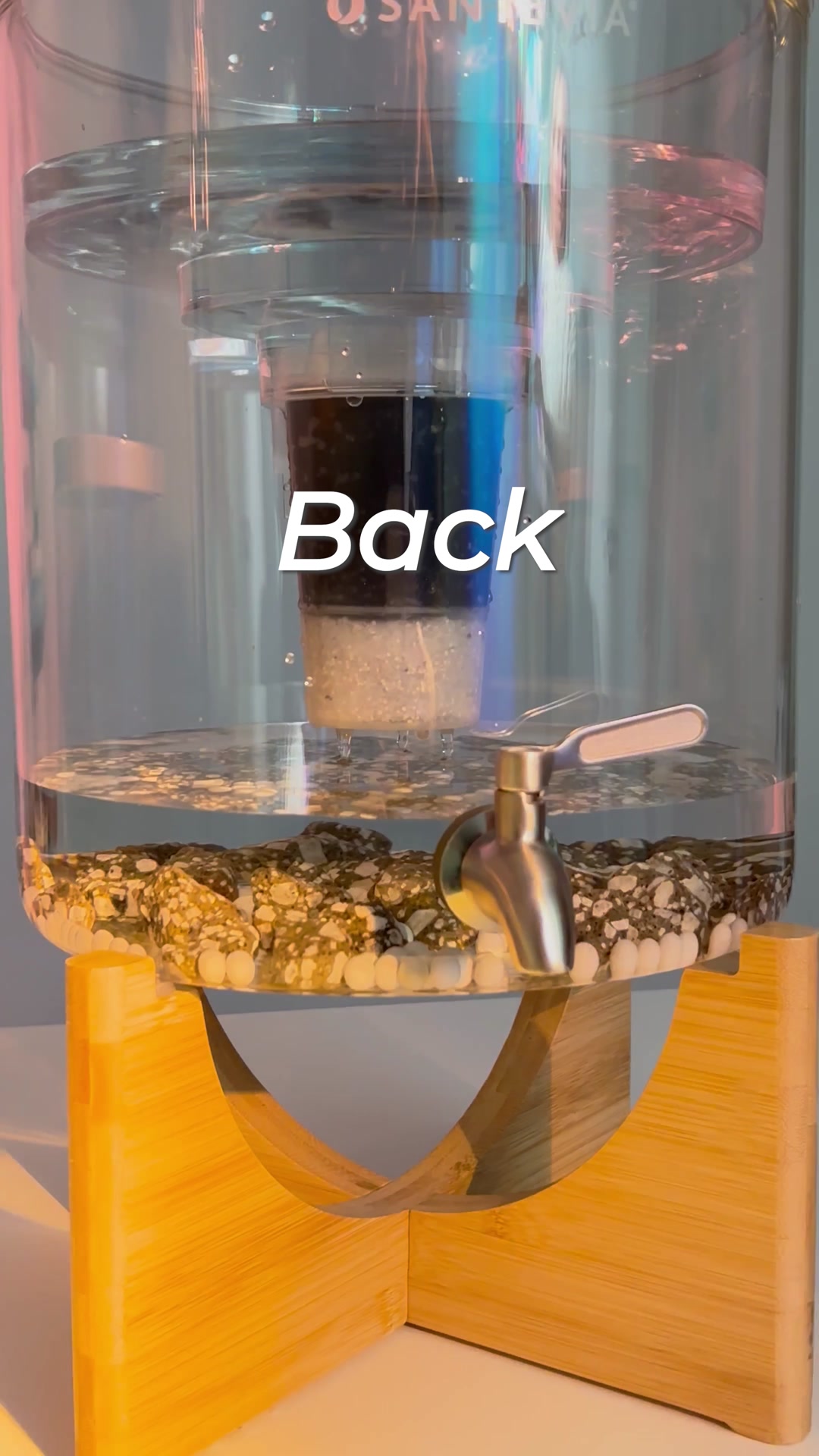 It's finally back! 🥳