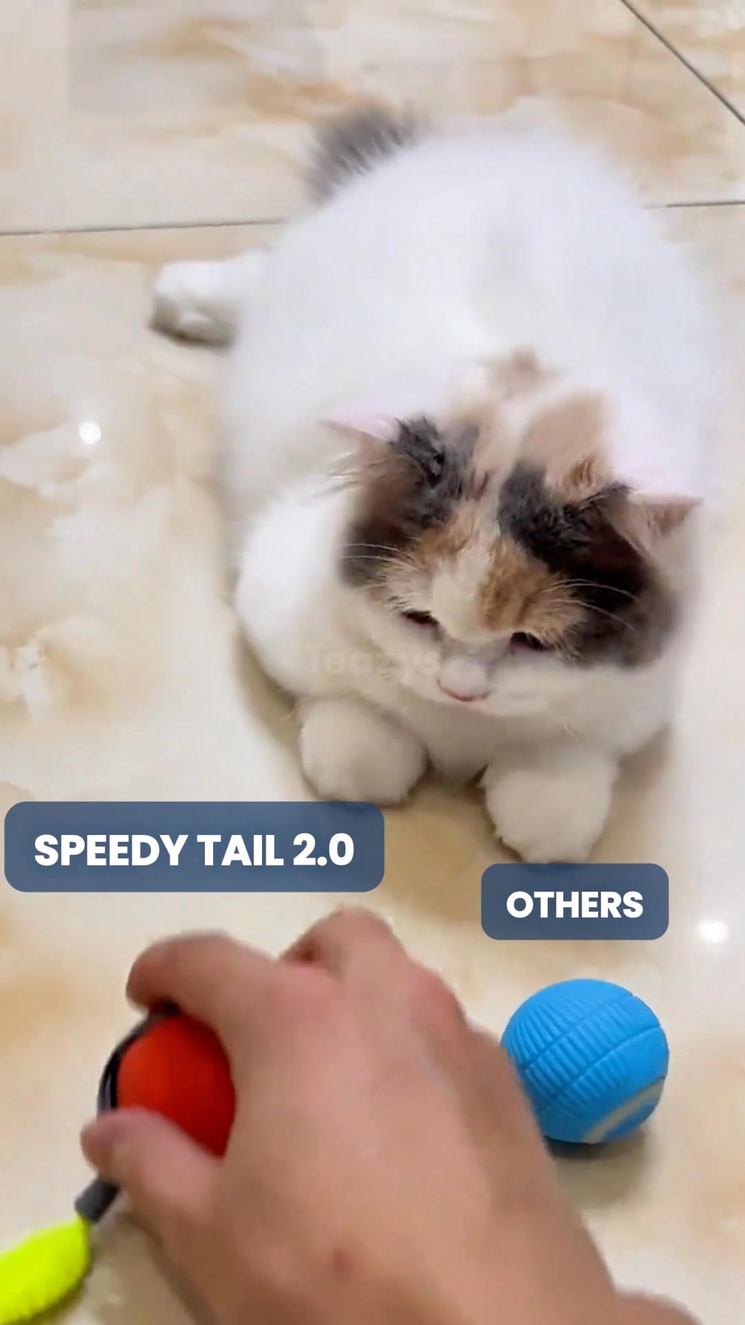 Buy 2 Get 1 Free! 😻