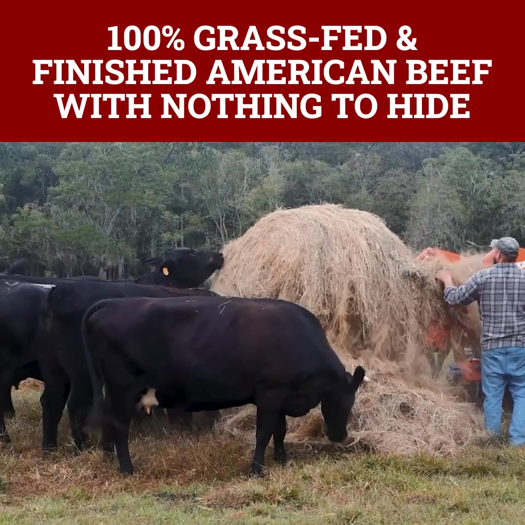 Florida's Best Grass-Fed Beef Shares