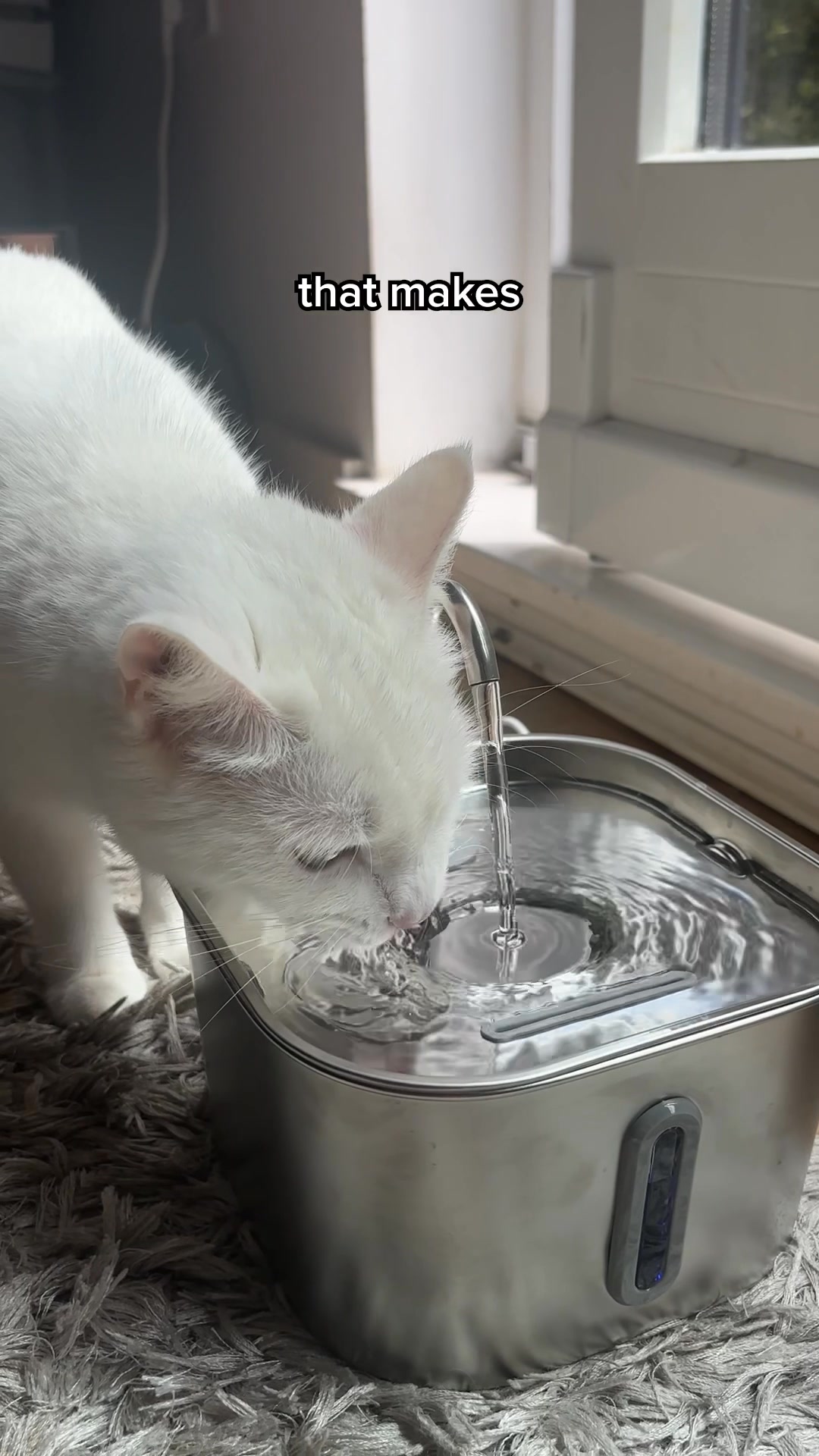 #1 Vet Recommended Cat Fountain