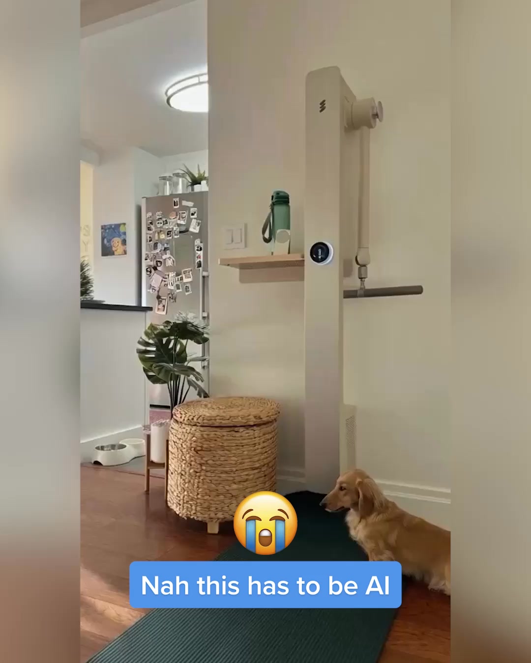 Try At Home For 90 Days