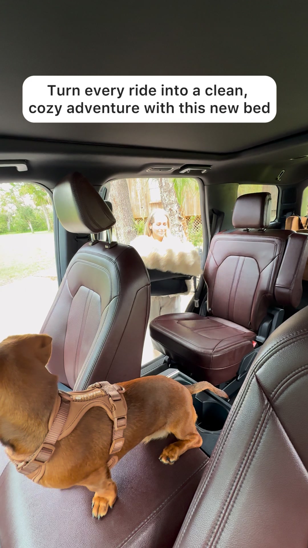 Luxury Meets Comfort