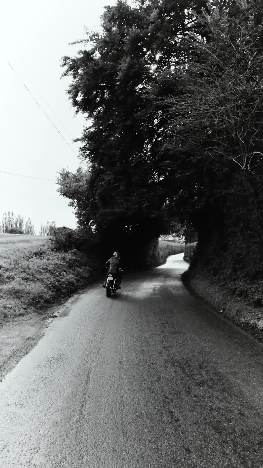 Goldtop Motorcycle Outfitters