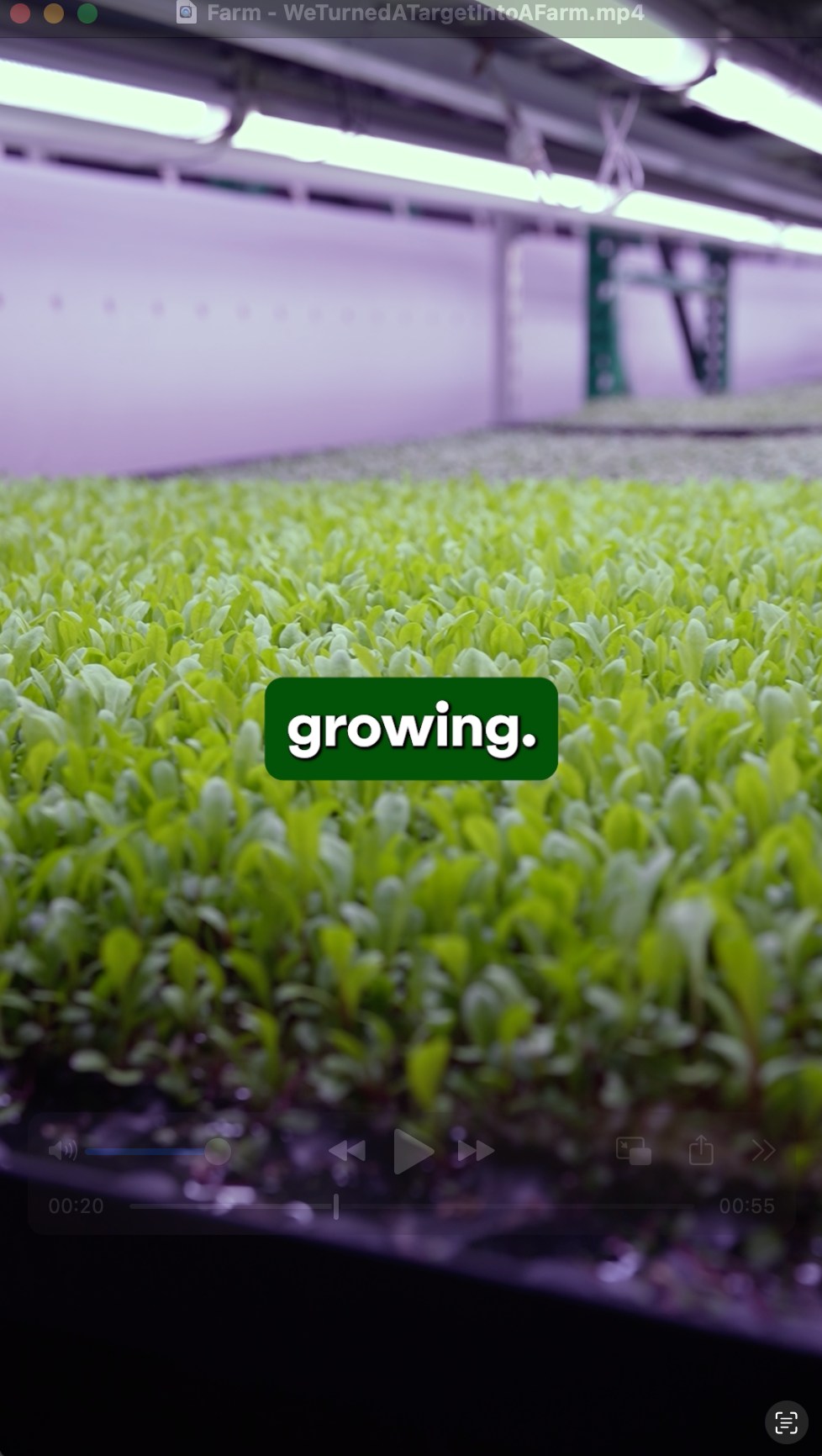 Whole Food Nutrition Made Simple