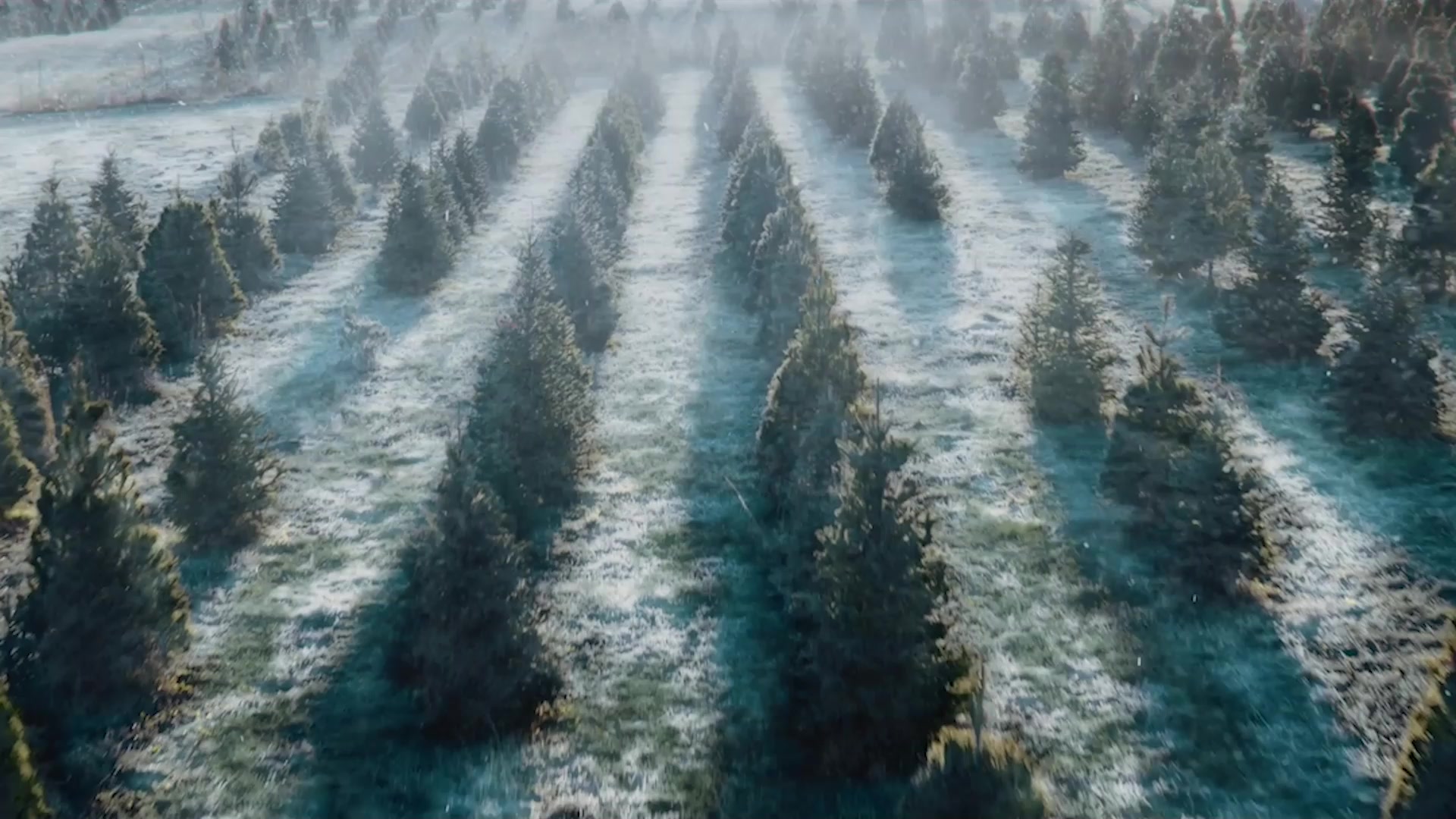 FREE Shipping on all Tools