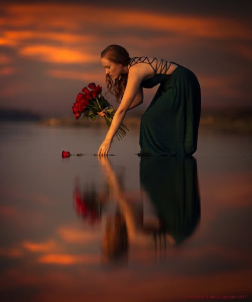 Practically Giving Away My Entire Preset and Action Store 😱