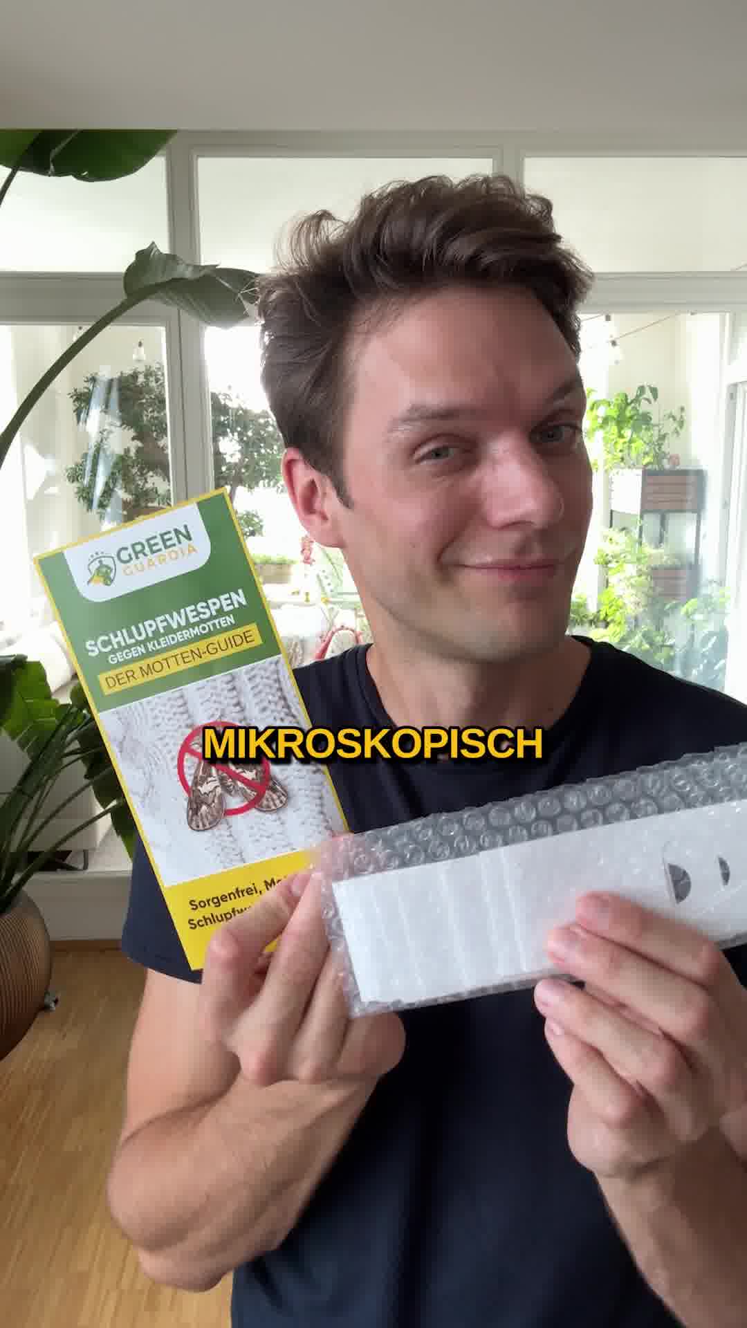 Motten gezielt bekämpfen! 🌱