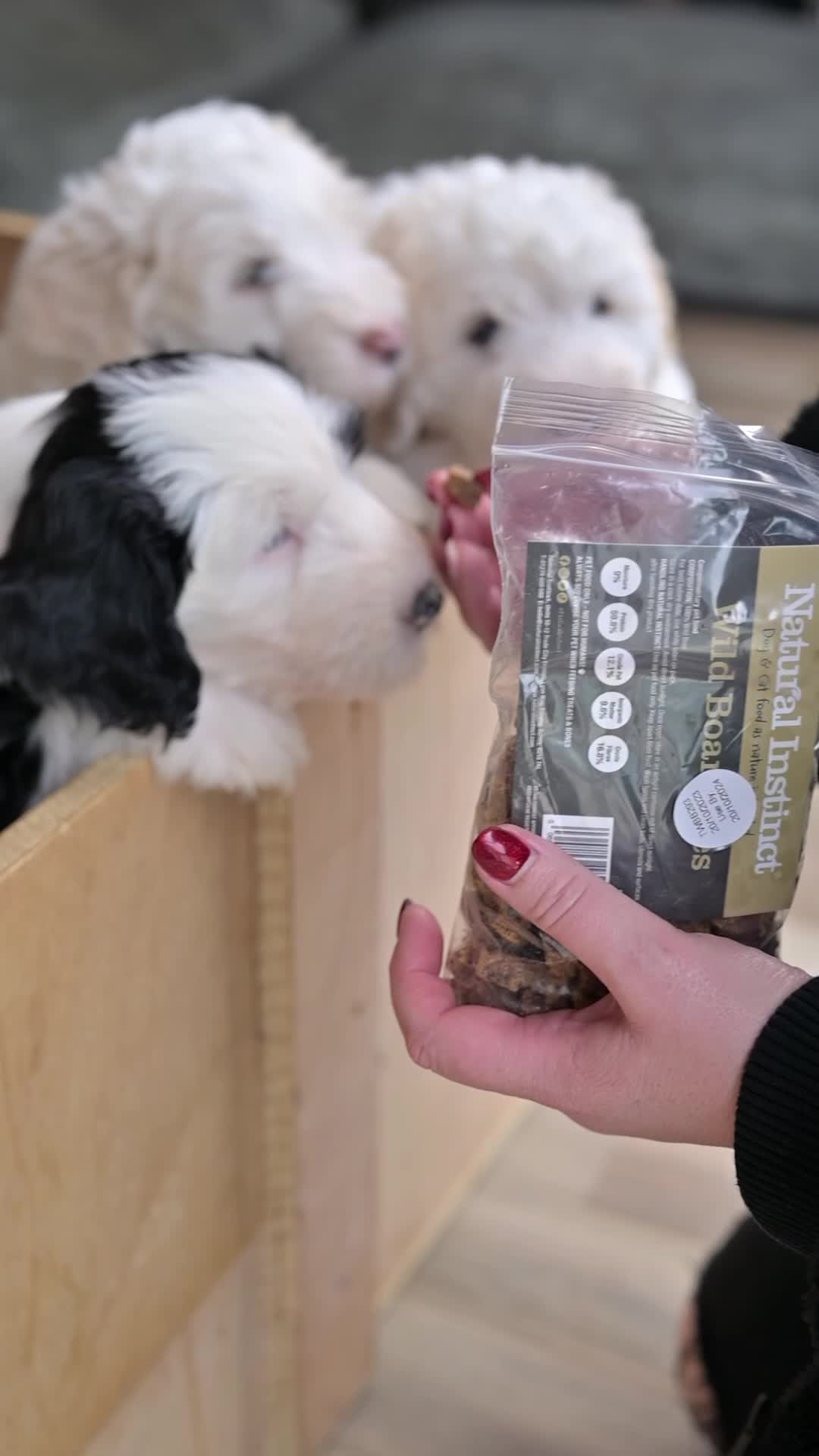 Nutrition for Happy Pets