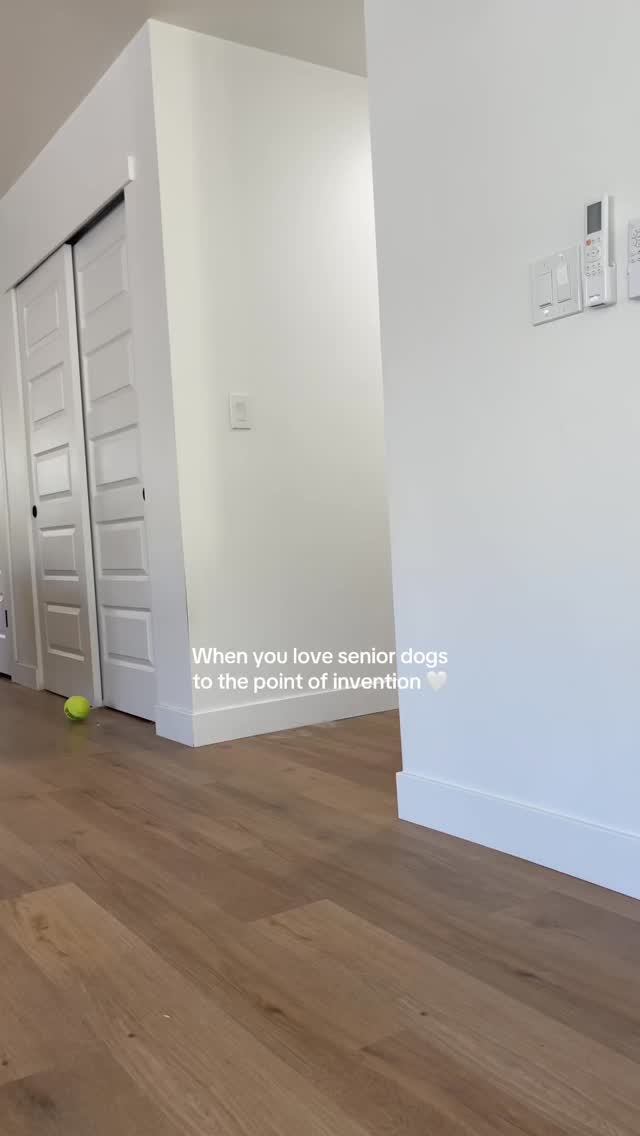 ToeGrips keep your senior dog from slipping on hard home floors ❤️‍🩹 

#seniordog #olddog #petcaretips #lovedogs #seniordogsofinstagram