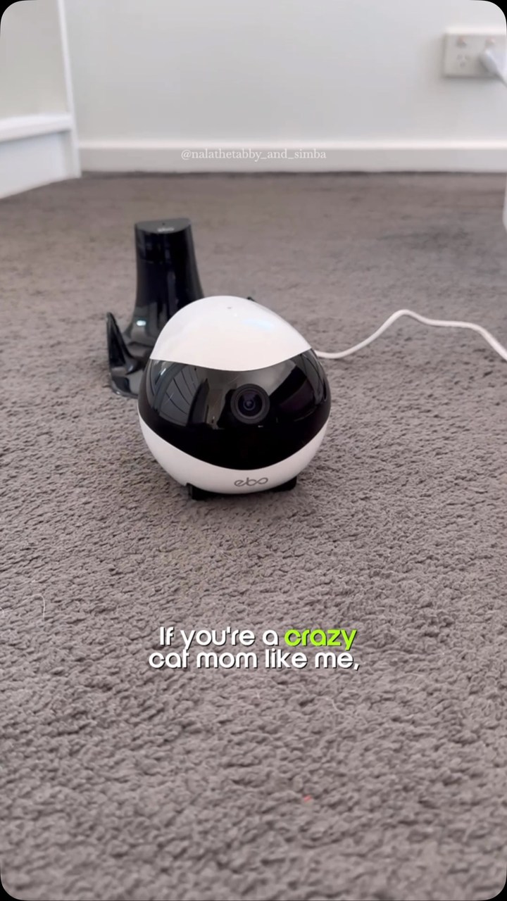 🤖Meet the EBO Air 2 by @enabot_official 

The smart pet companion that keeps your furry friends entertained and safe! 🐾 With a 2K HD camera, night vision, motion tracking, and a built-in laser pointer, it lets you check in on your pets anytime while keeping them engaged. Plus, it auto-returns to charge when the battery runs low!

#catlover #catlife #catlovers #cats_of_world #catsofinstagram #catsofaustralia #instacat #catstagram #catloversclub #catgram #catscatscats #kittycat #catmom #catmomlife #catmomproblems #catmomsofinstagram #fyp #fypシ #petcamera #enabot