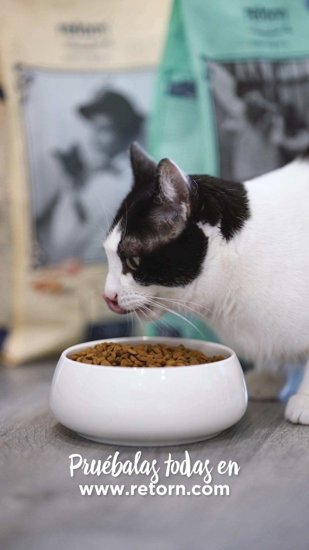 Descubre la alimentación natural para tu peludo.