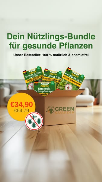 Natürlicher Schutz vor Schädlingen – wirksam & umweltfreundlich 🌿