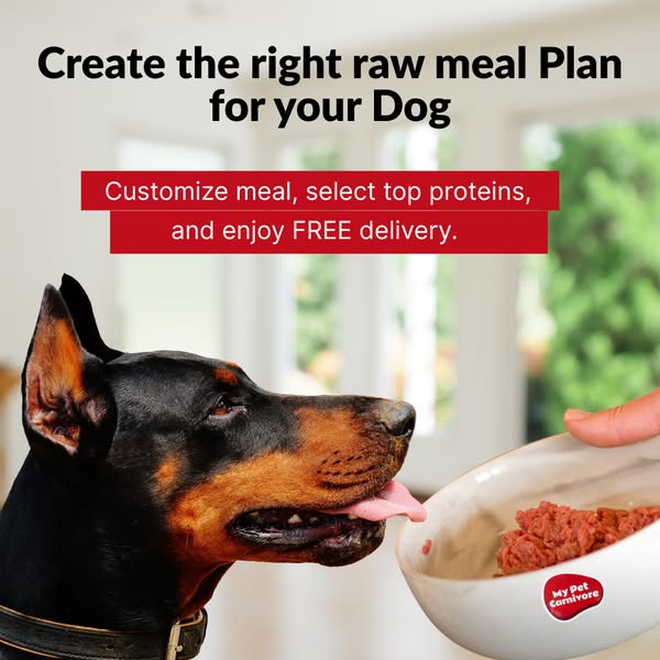 Customize Their Bowl, Not Just Their Food 🐕