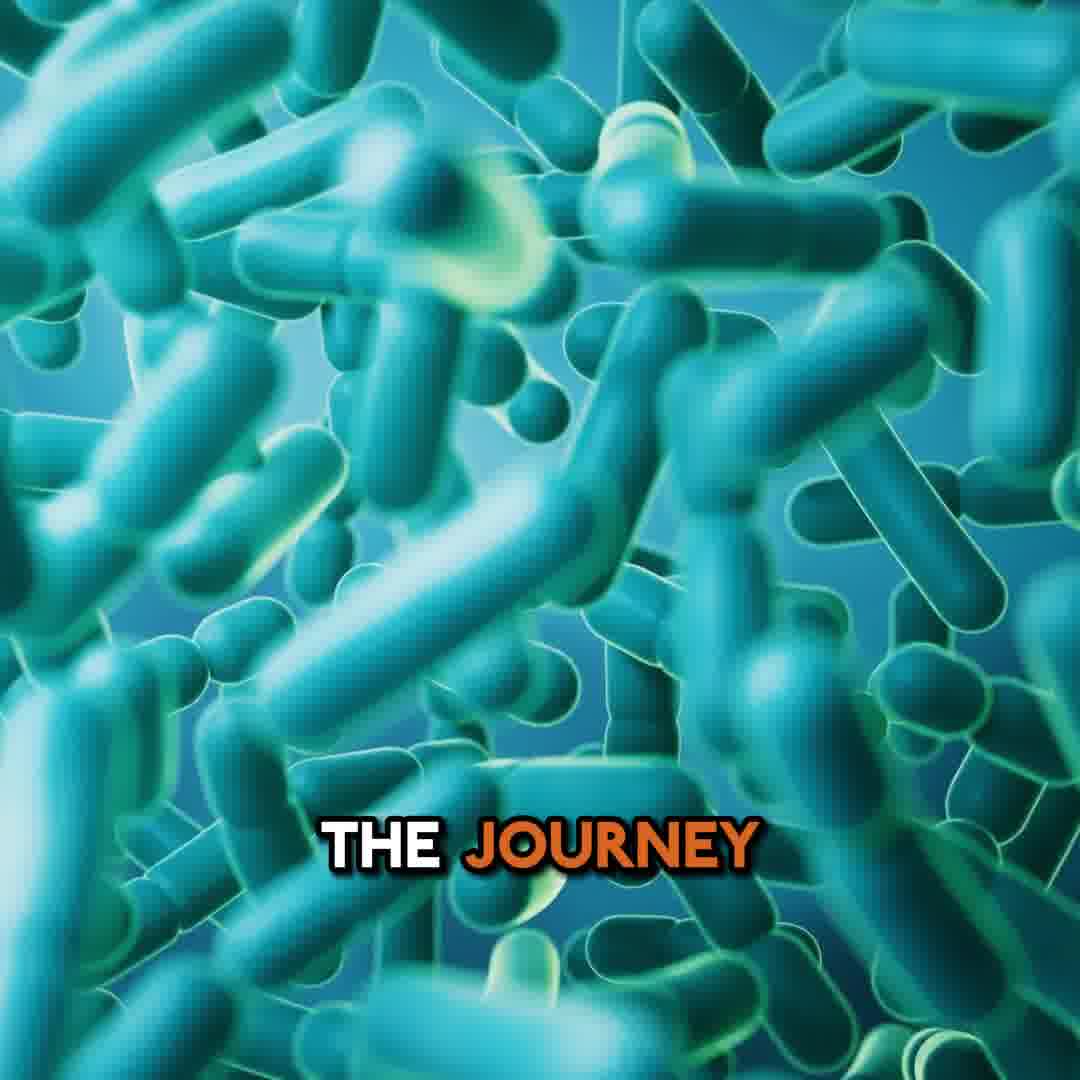Probiotic that actually works! - Get 20% OFF Today!