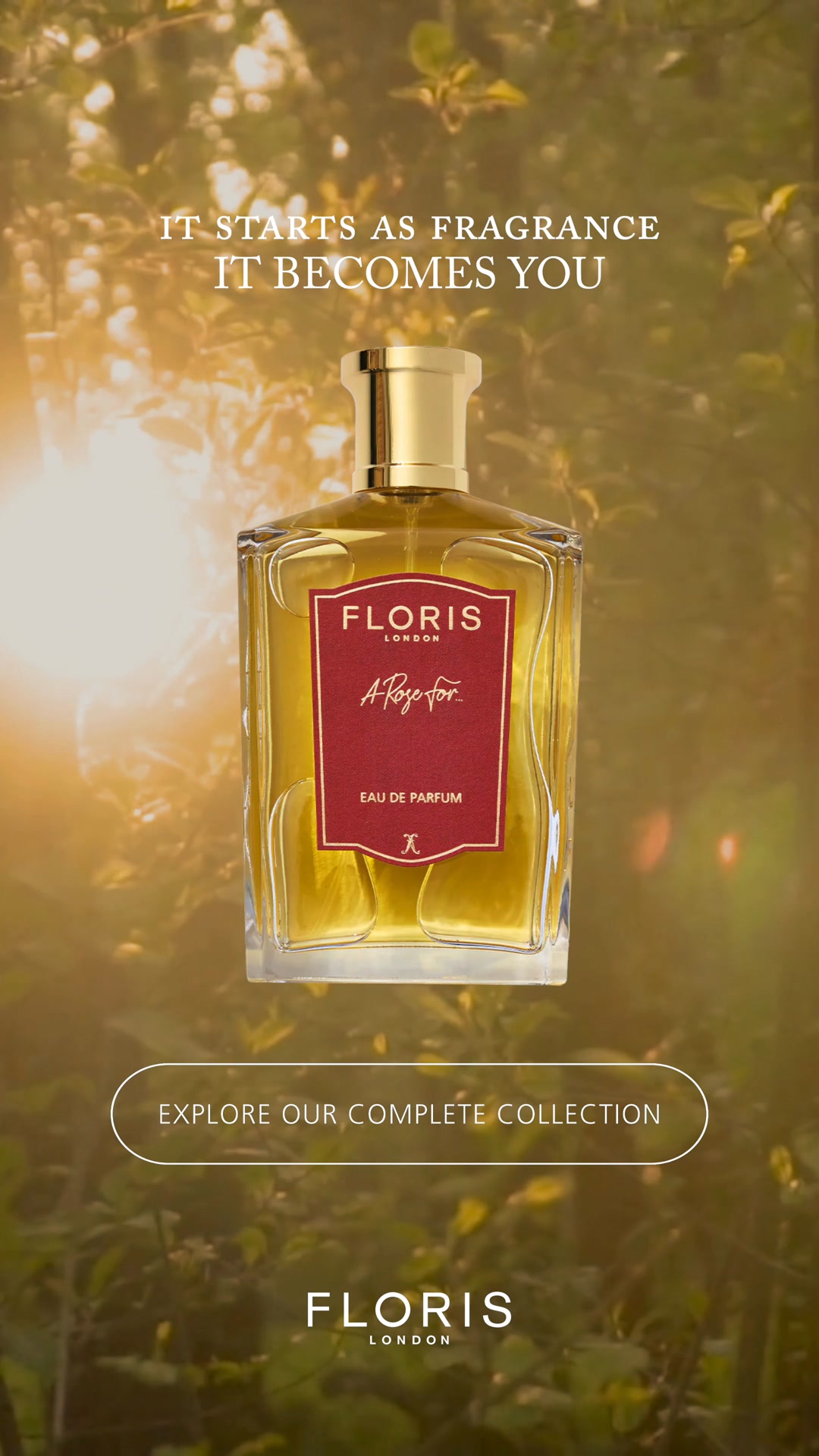 Characterised By High Quality and Timeless Elegance 🌸