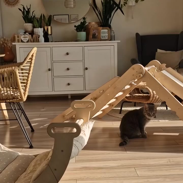 Montessori toys loved by 50,000+ parents 🌿