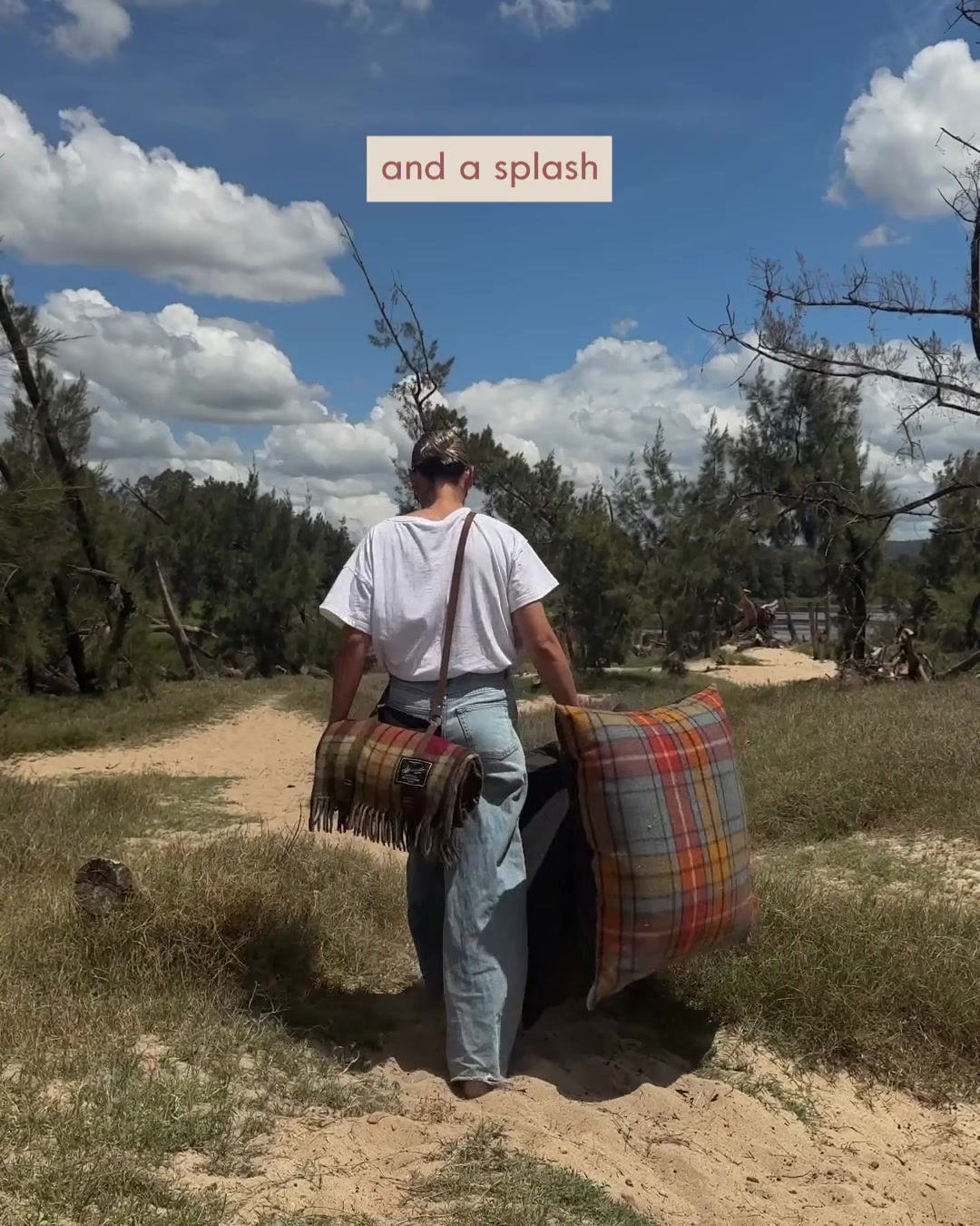 Outdoor Paddock Pillows 🏕️