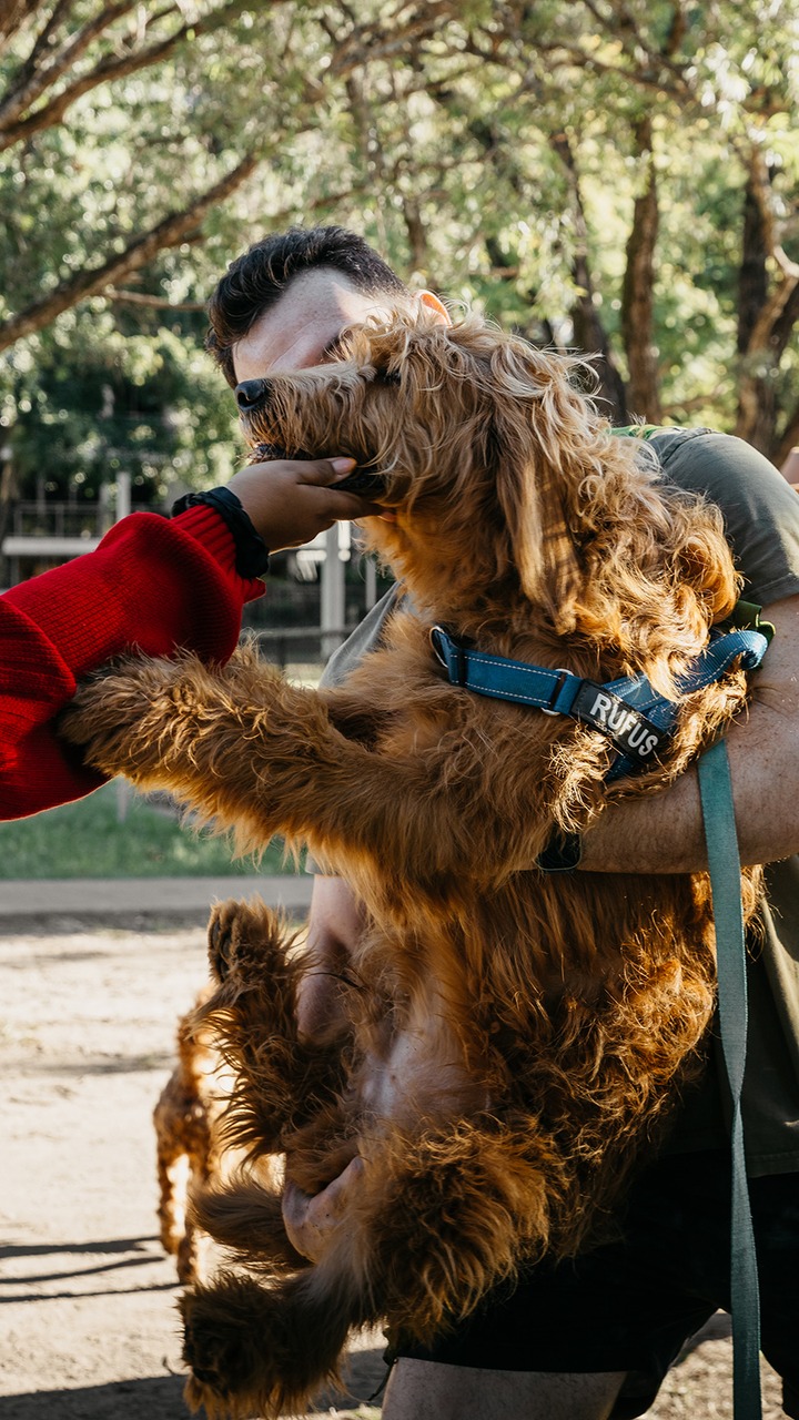 Tail Wagging Nutrition