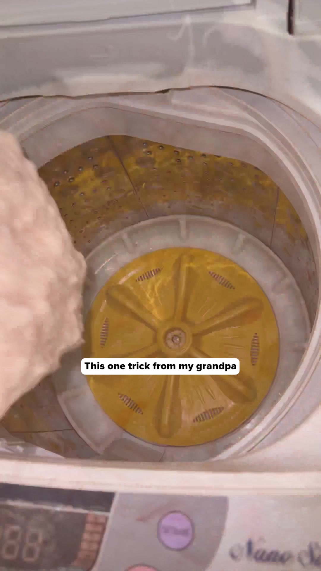 Get Rid of Bacteria & Pet Odor from Your Washer