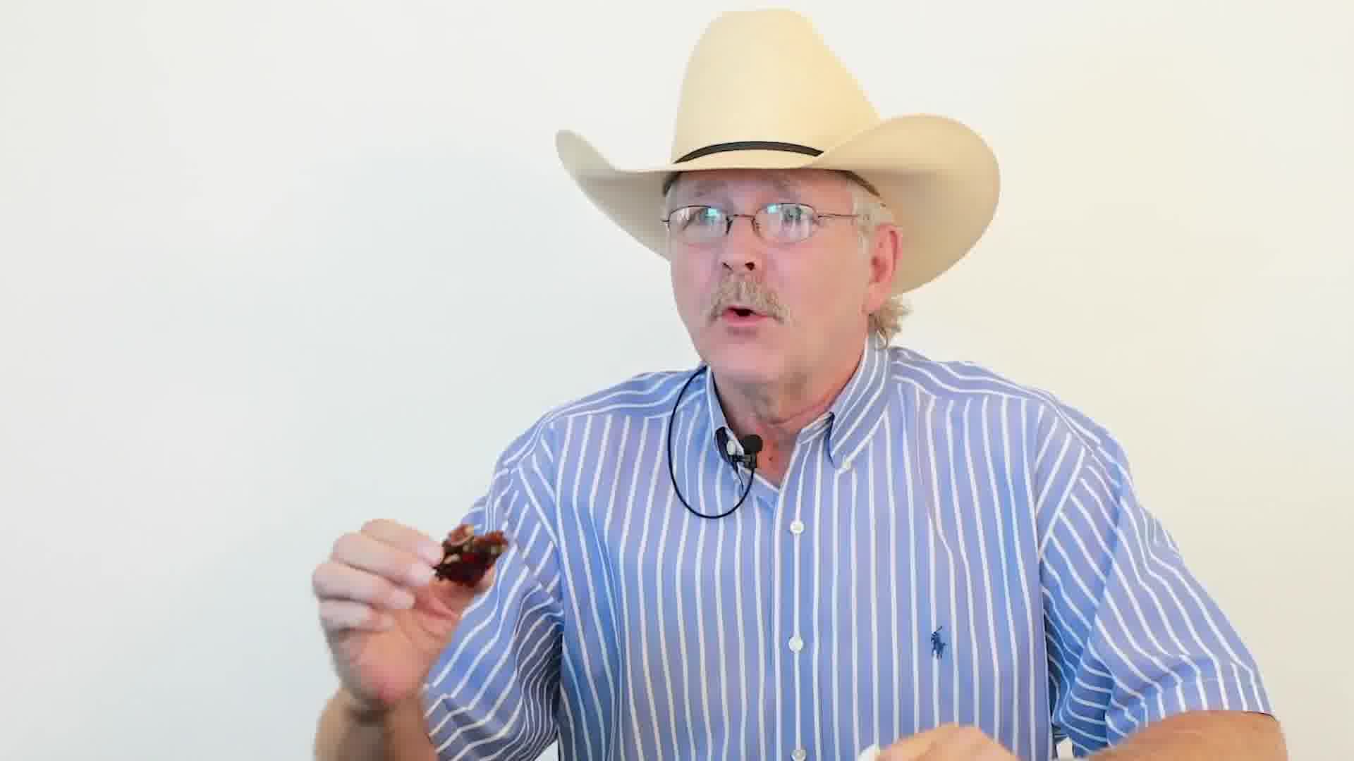 Baked in Texas Since 1896