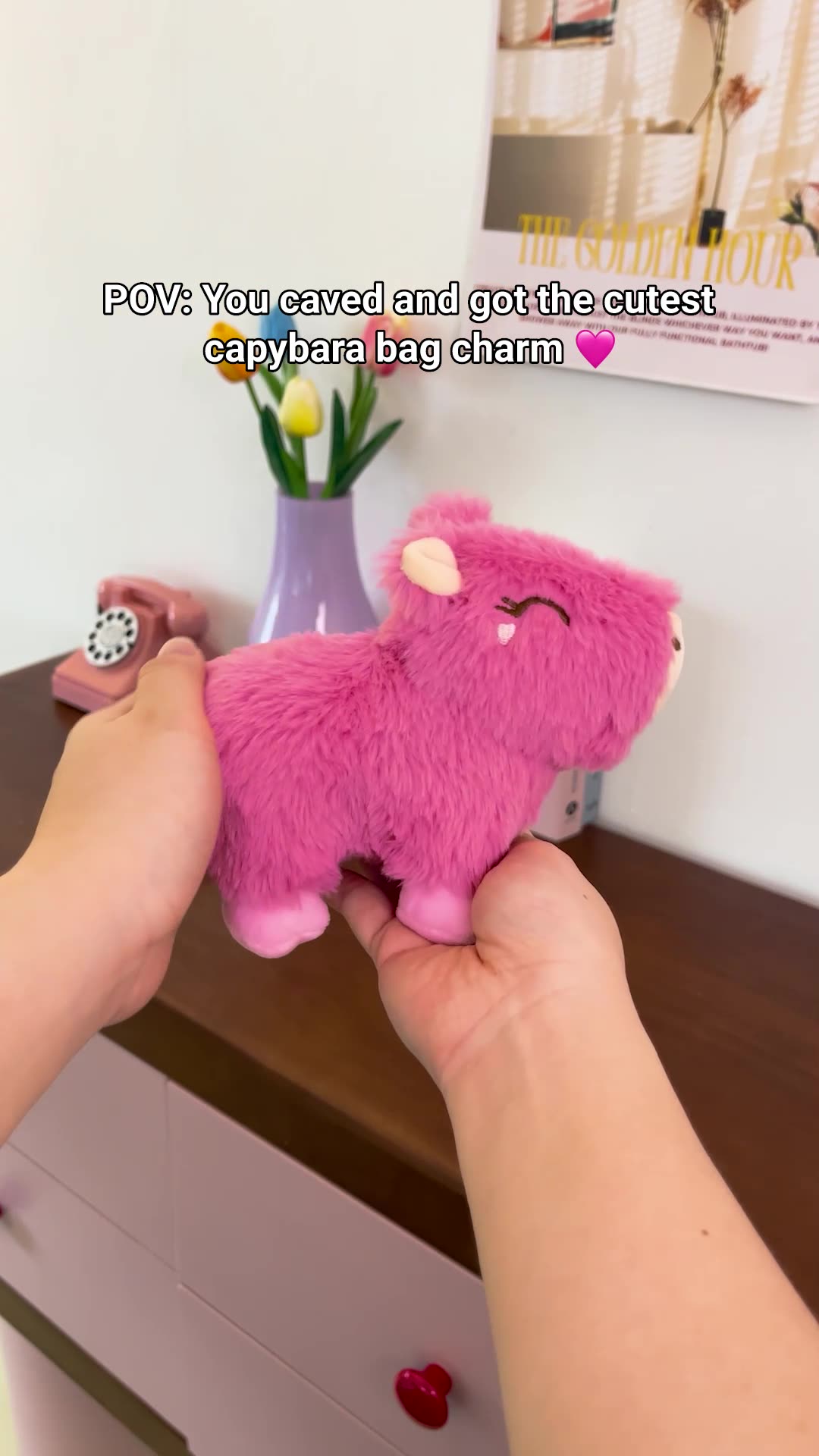 Capybara Bag Charms π