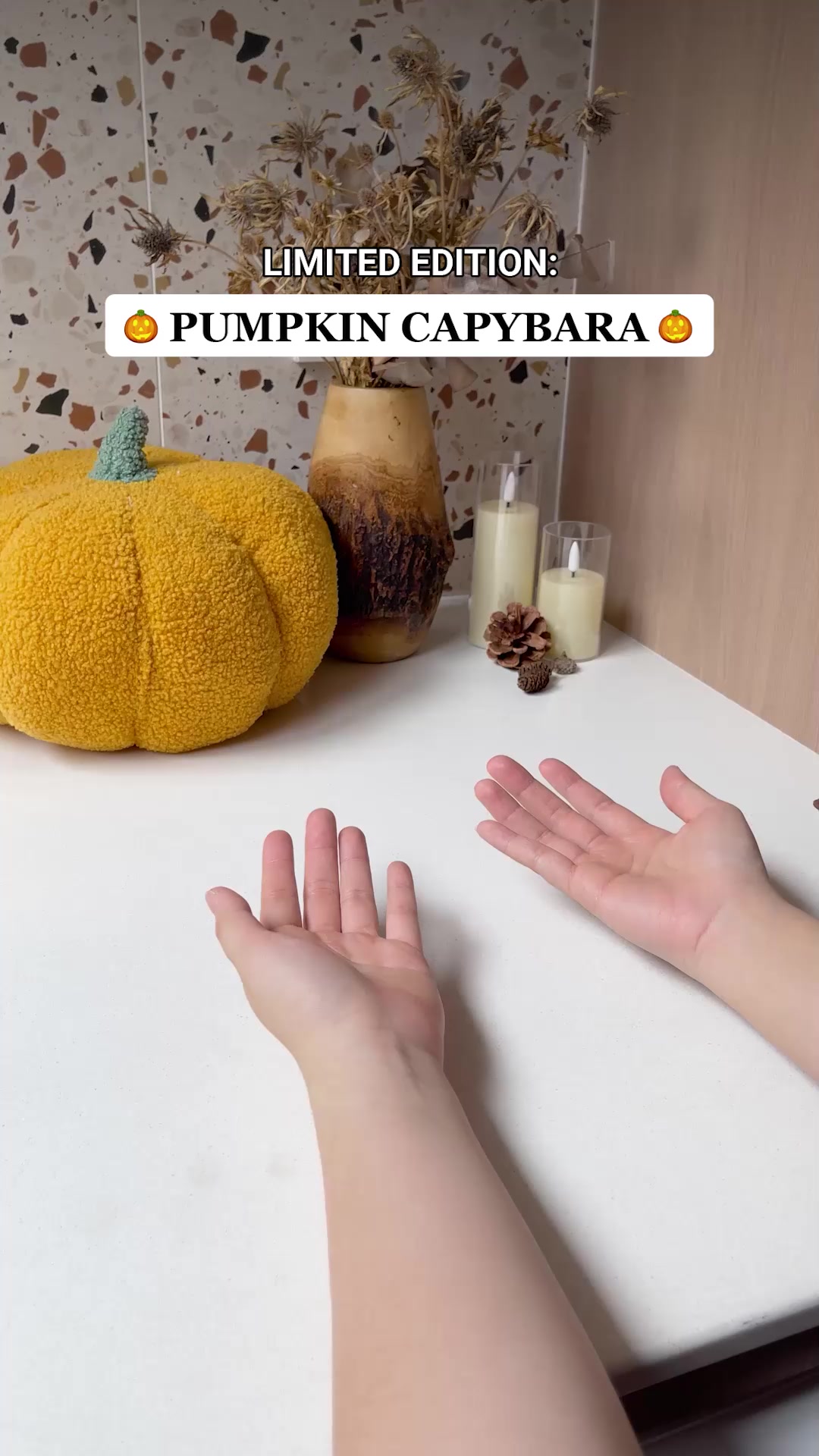 π RARE DROP: Pumpkin Capybara!