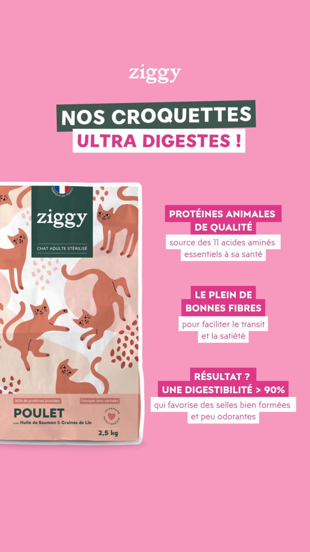 DES CROQUETTES PAS COMME LES AUTRES 😻