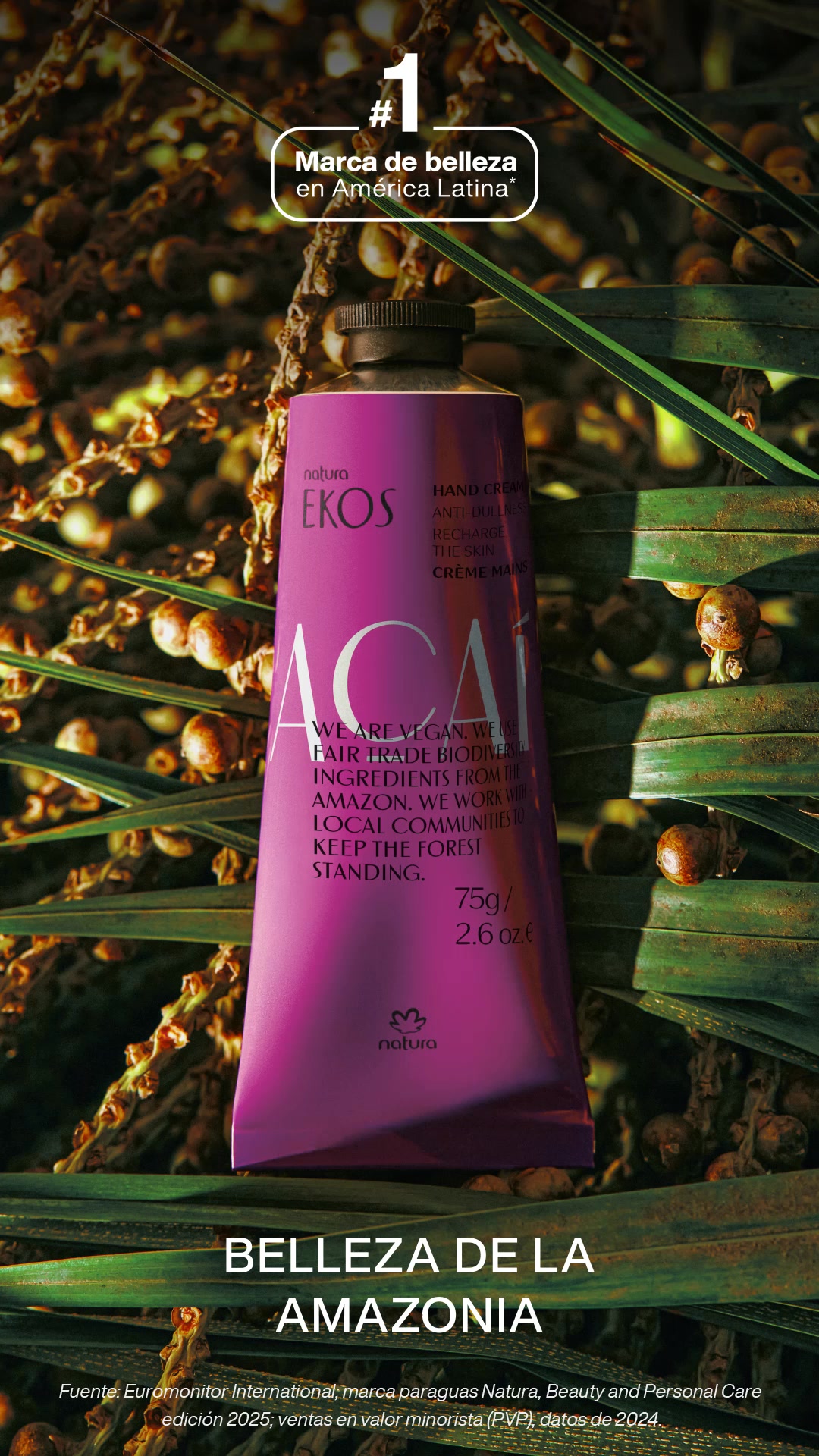 Beleza de la Amazônia.