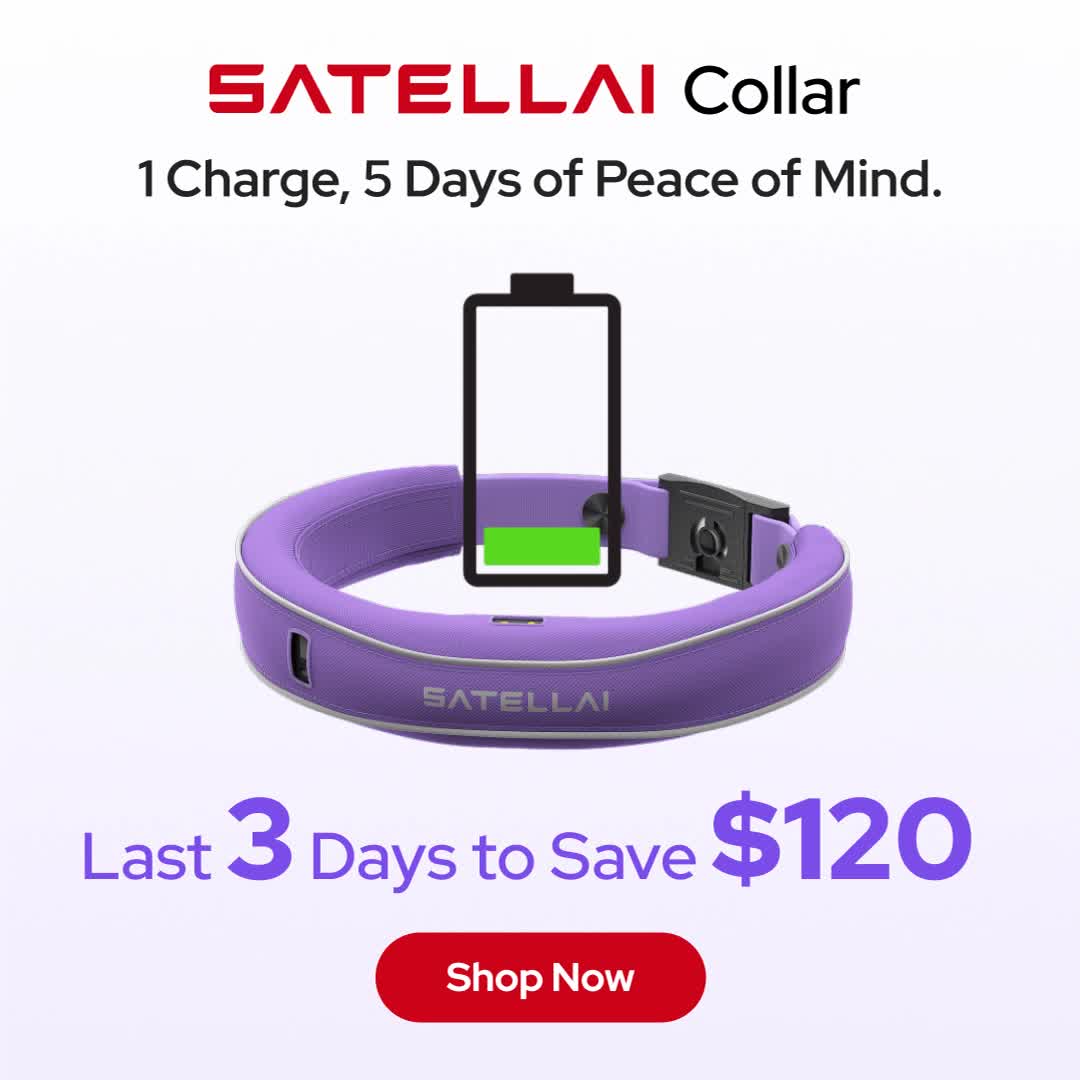 SATELLAI Collar: Your Dog’s Freedom. Your Peace of Mind.