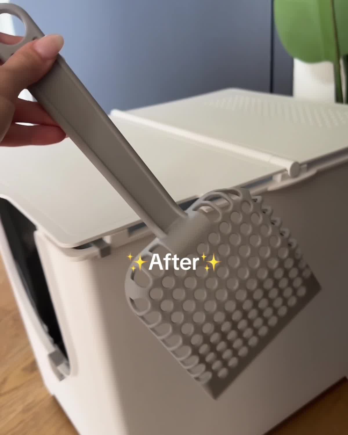 Where Modern Cats Do Their Business