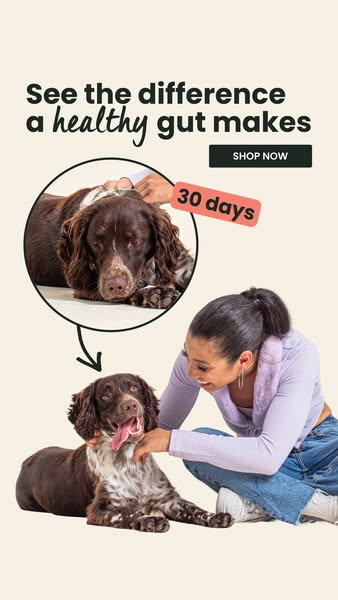 Perfect For Sensitive Stomachs