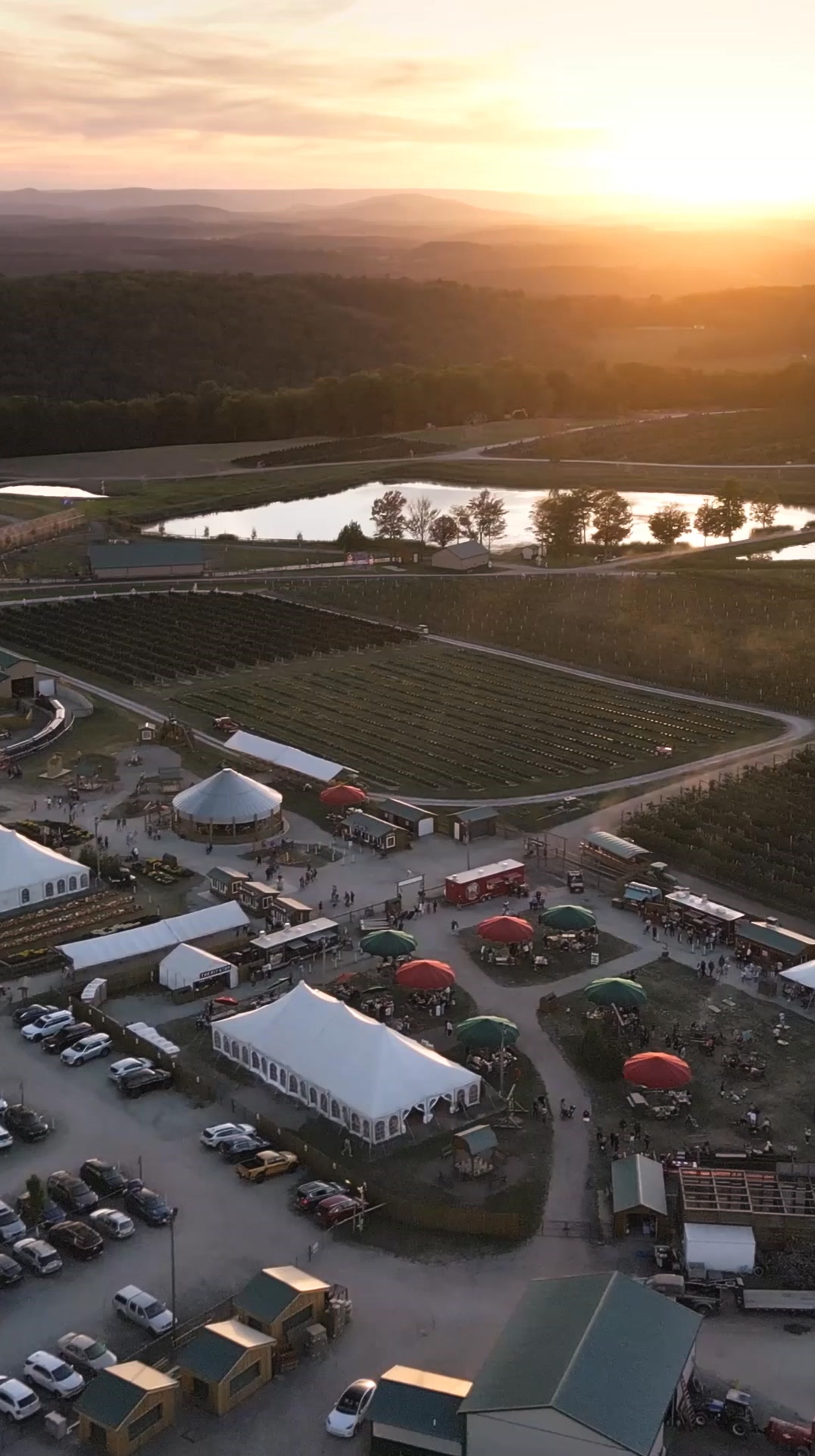 Black Friday Sale Live!