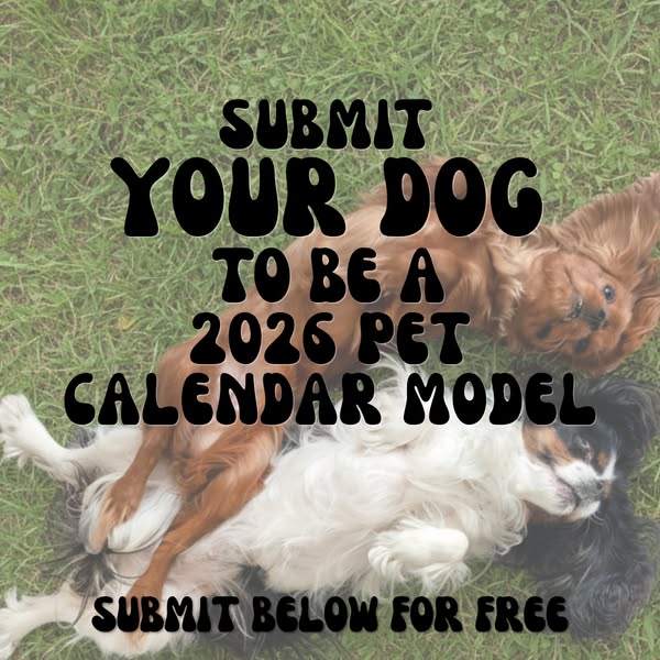 Submit YOUR PUPPY! 📸 🐶