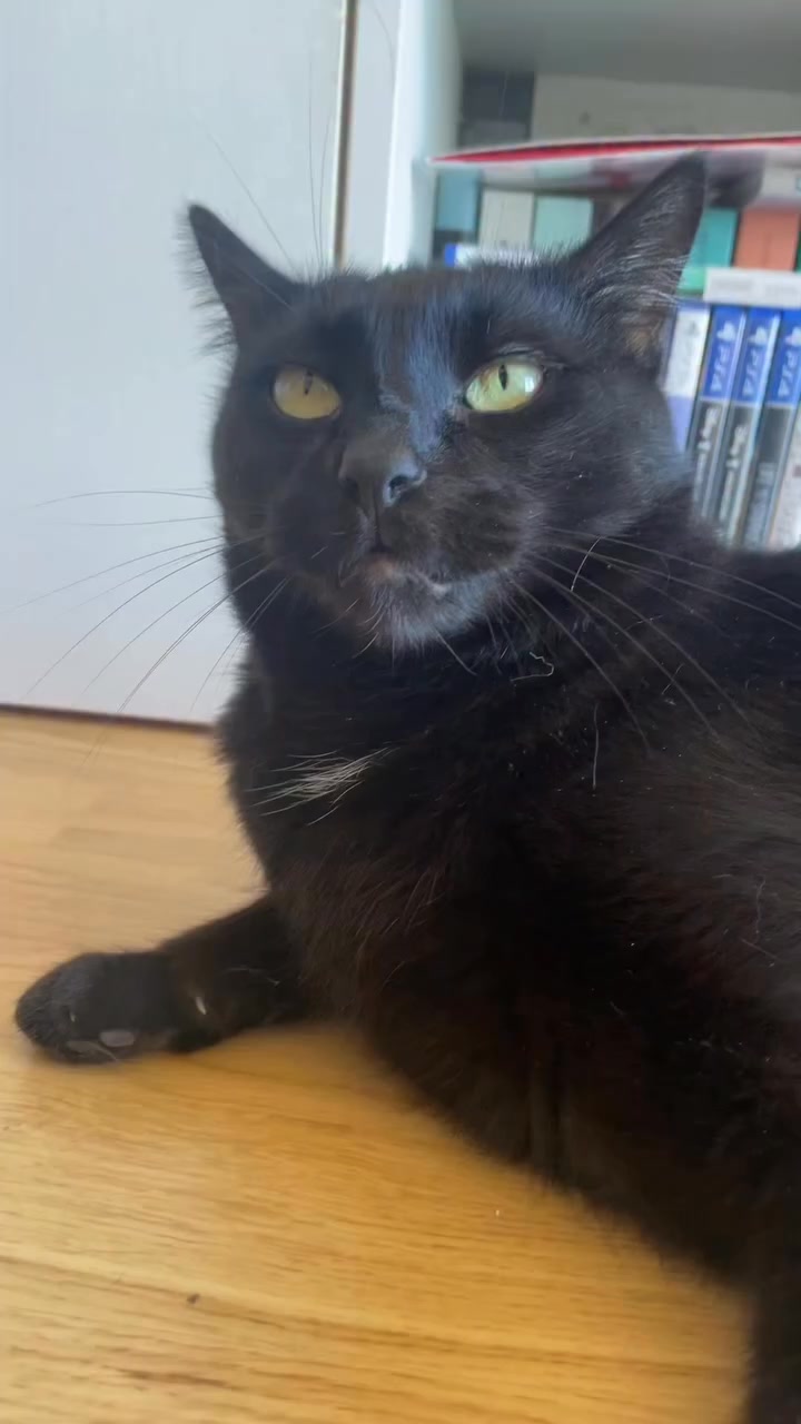 🐶🐱 ¡Atención, amantes de la limpieza y dueños de mascotas! ¡Presentamos al mejor amigo de la limpieza para todos ustedes y sus queridas mascotas! 🚀