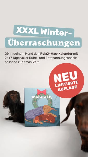 Limitierte Auflage: 31 Tage Entspannung für deinen Hund 🐾