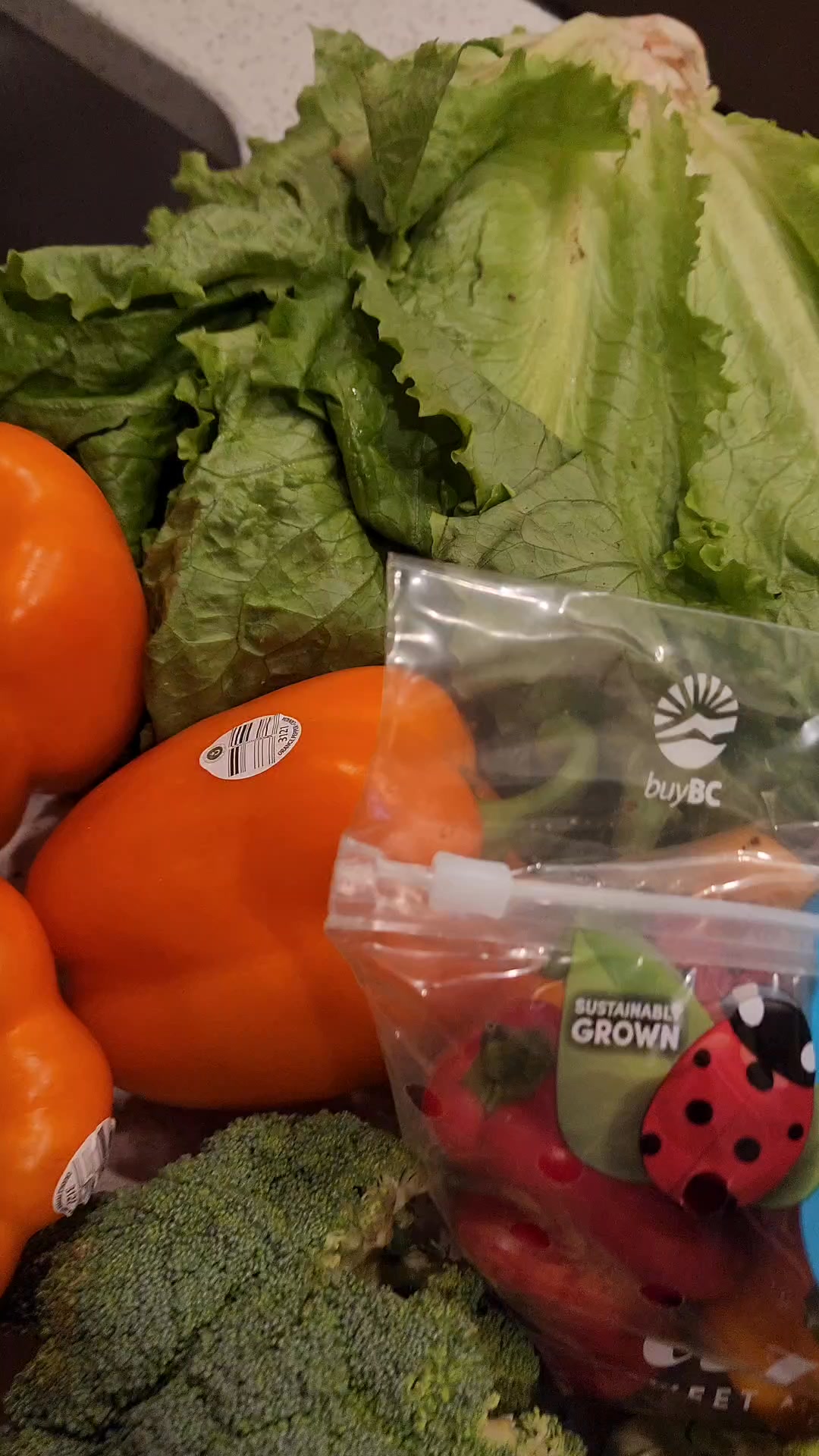 Fight Food Waste, Not Crowds