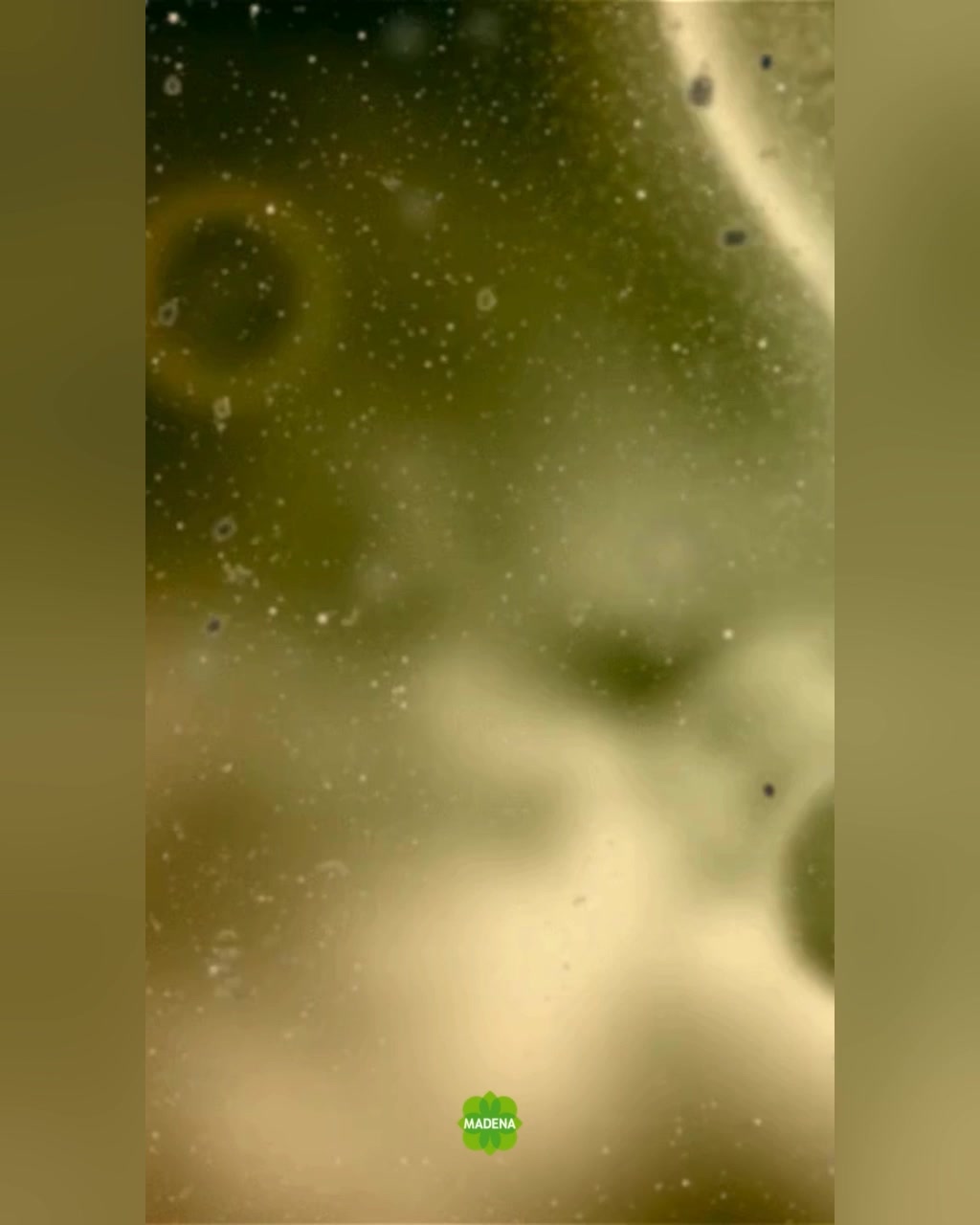 🌱 Von Fachapothekern entwickelt 
💊 Ausgeklügelte Zusammensetzung
 🌿 Besondere (Marken-)Rohstoffe