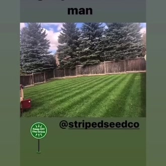 Elite Grass Seed For Canadian Lawn Enthusiasts
