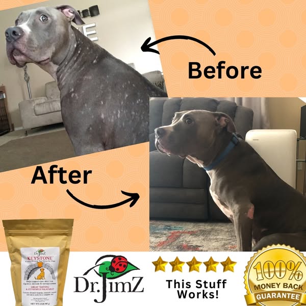 Natural, Chelated & Easily Absorbed - Free Shipping!