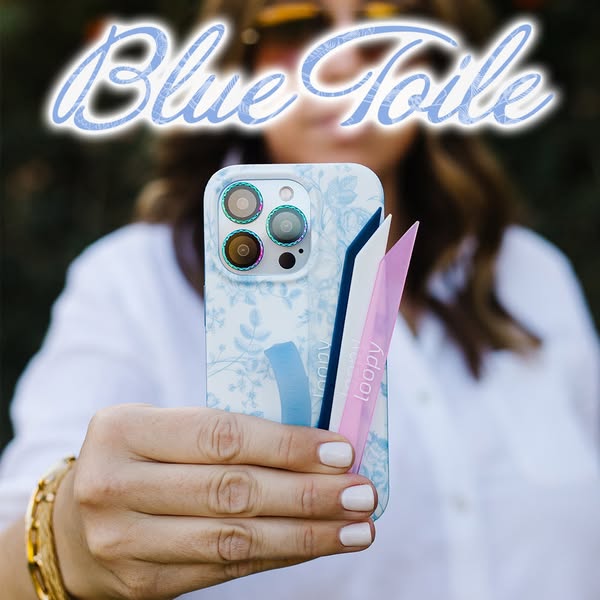 Say Hello to Blue Toile 🩵🤍