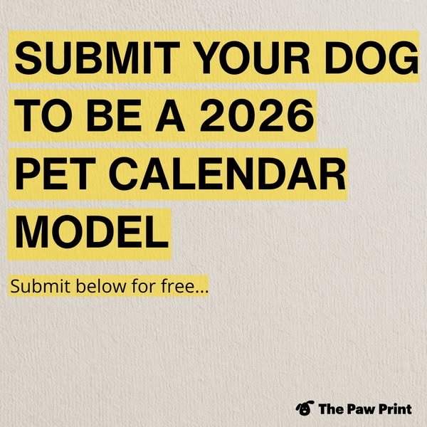 Submit YOUR PUPPY! 📸 🐶