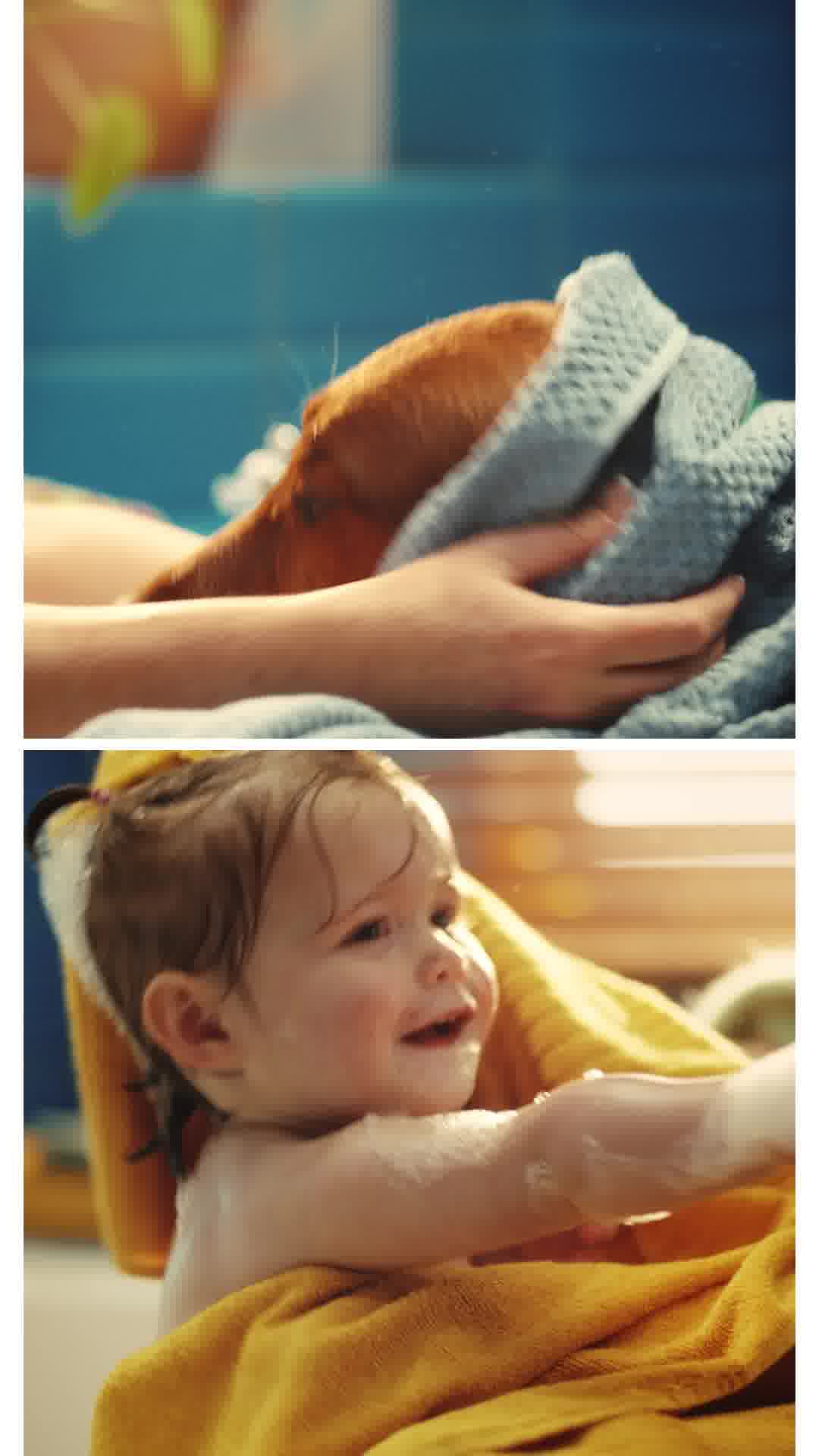 Gentle & Safe 😽🐶