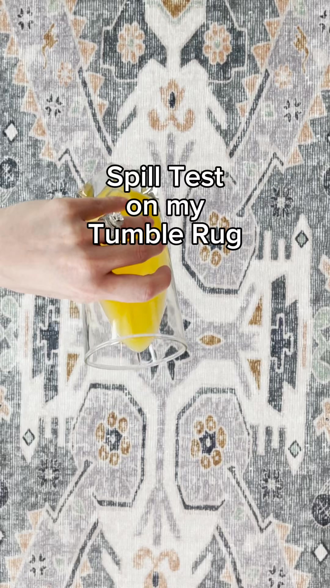 Aesthetic, Spillproof & Washable Rug