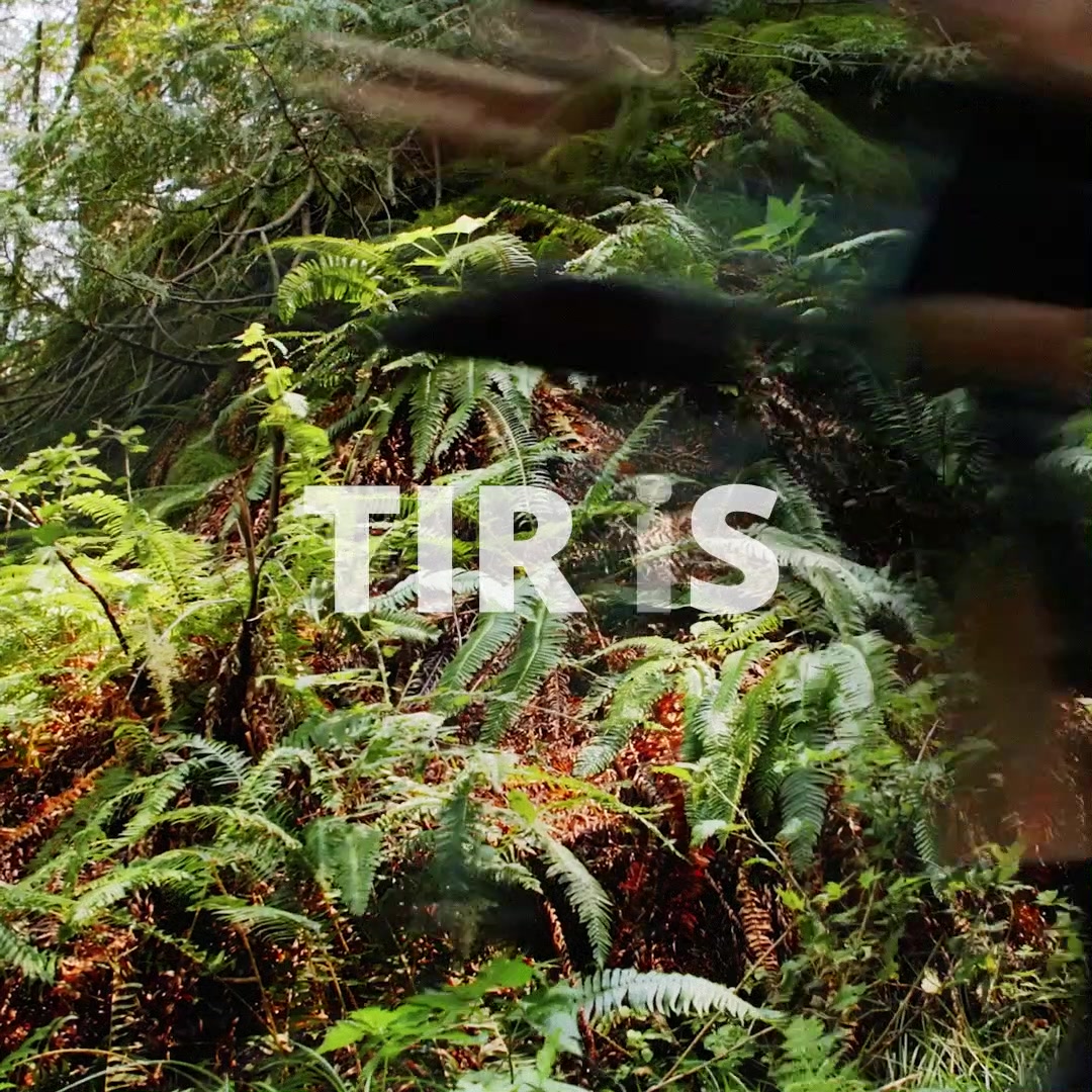 Kenda Tire USA - Bicycle