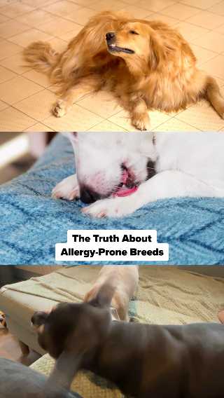 Is YOUR Dog on This List?