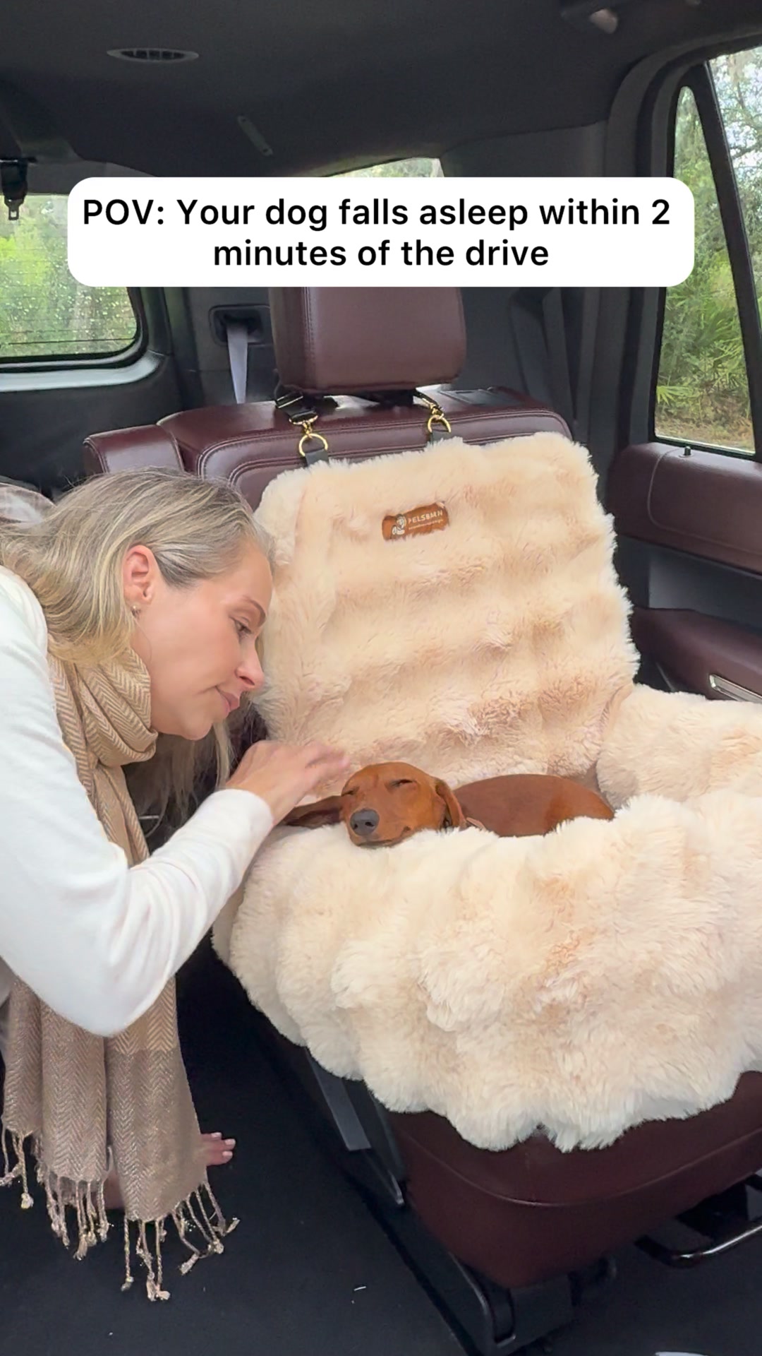 Luxury Meets Comfort