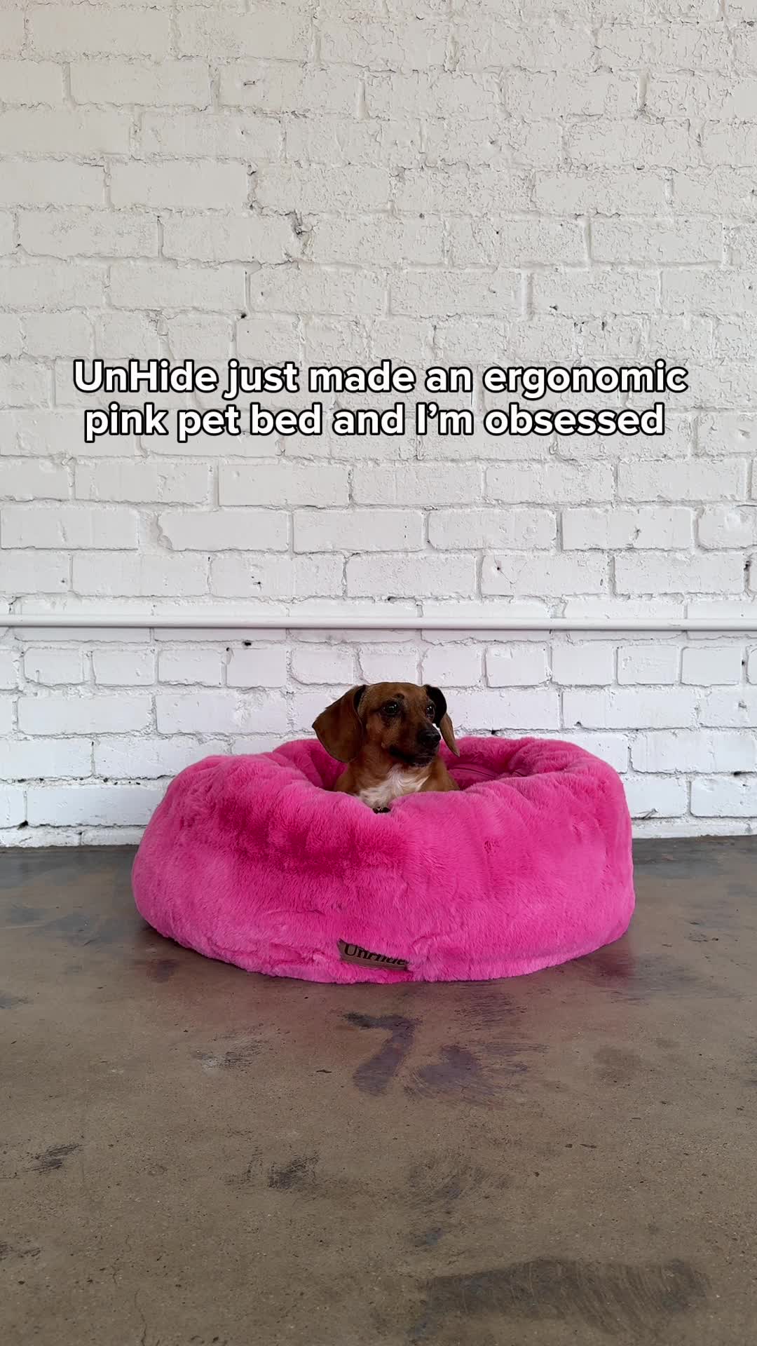 Cozy Comfort for Pets