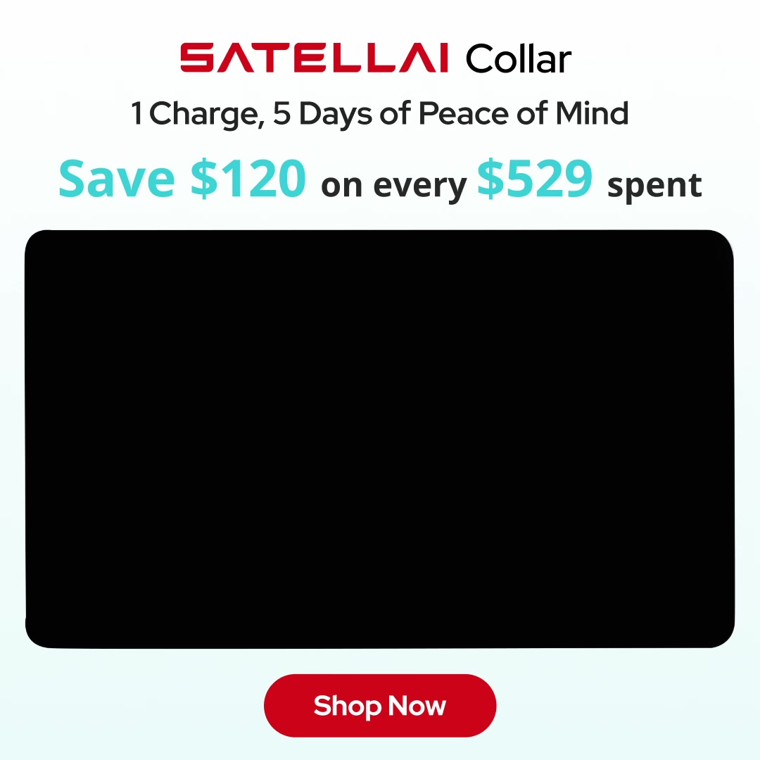 SATELLAI Collar: Your Dog’s Freedom. Your Peace of Mind.
