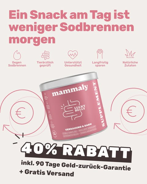 Bauchwohl-Snacks für Hunde 🐶