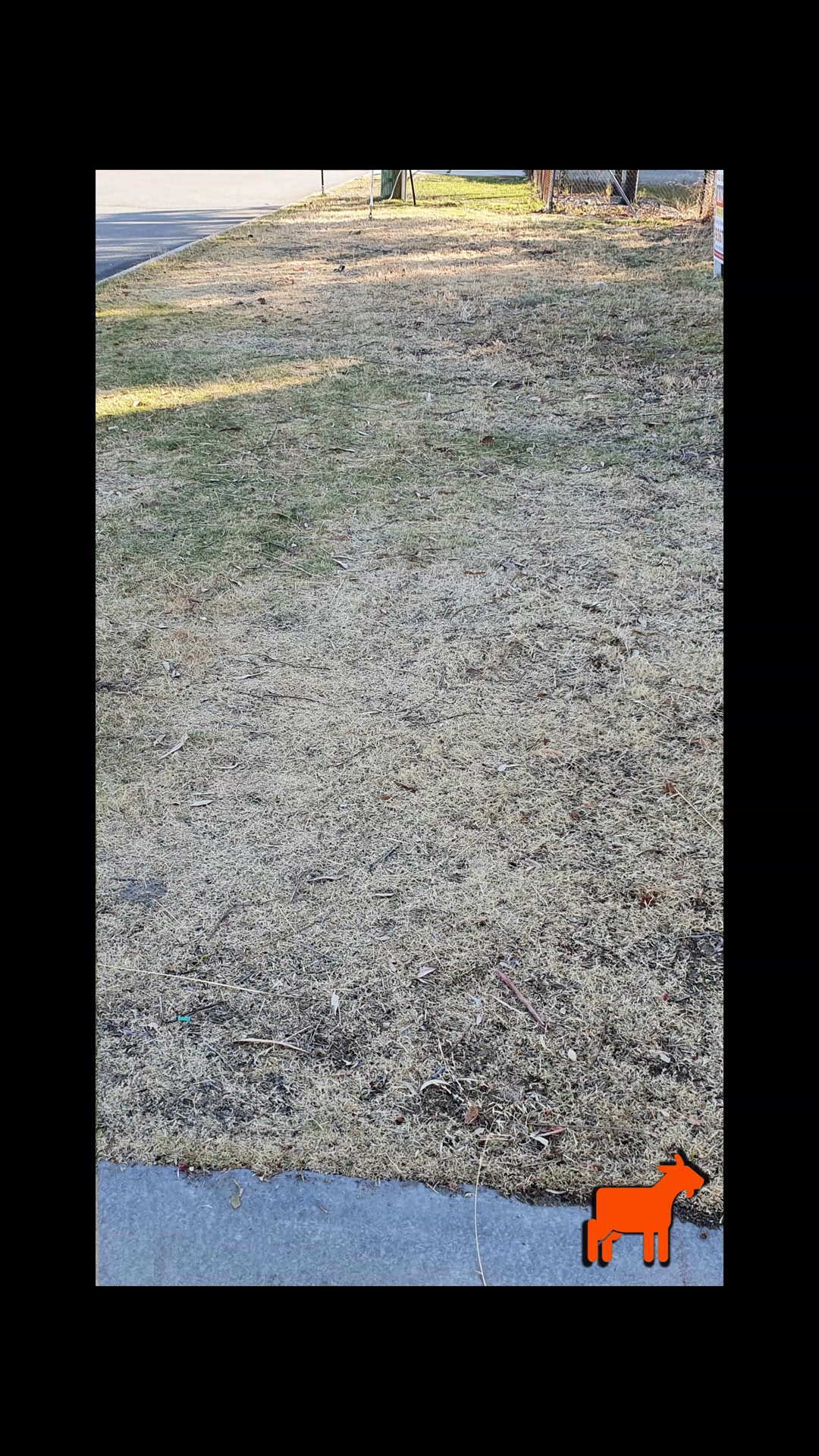 Rejuvenate your lawn ✅